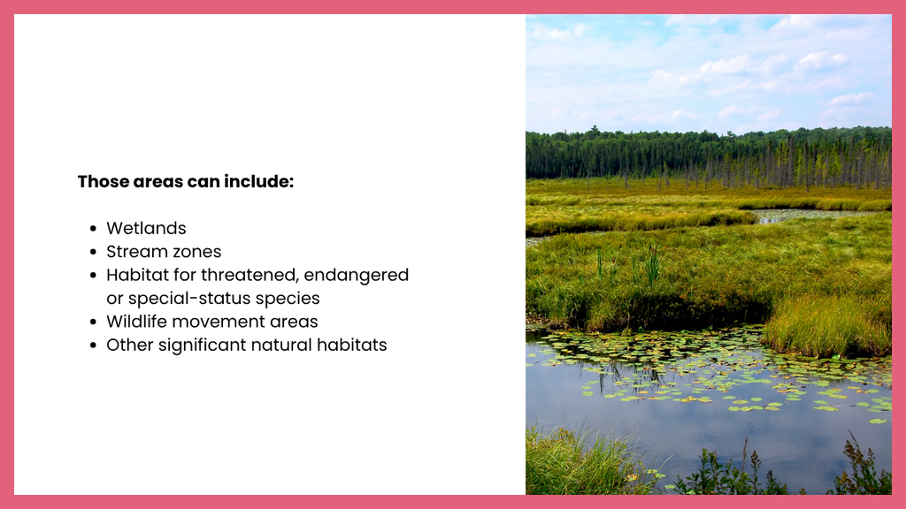 Biological resources assessment graphic showing a wetland habitat alongside a list of environmentally sensitive areas, including wetlands, stream zones, protected species habitats, wildlife movement areas, and other significant natural habitats.